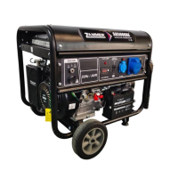 Бензиновый генератор Zammer S8500CXE для газового котла фото