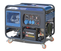 Дизельный генератор ТСС SDG 12000EHA с АВР 111131 для газового котла фото