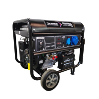 Бензиновый генератор Zammer S6500CXE для газового котла фото