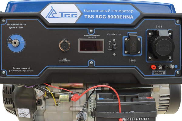 Бензиновый генератор ТСС SGG 8000EHNA в кожухе МК-1.1 2-х тактный фото