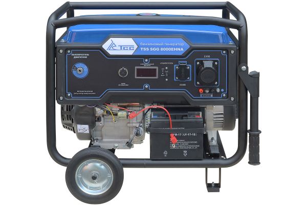 Бензиновый генератор ТСС SGG 8000EHNA в кожухе МК-1.1 2-х тактный фото
